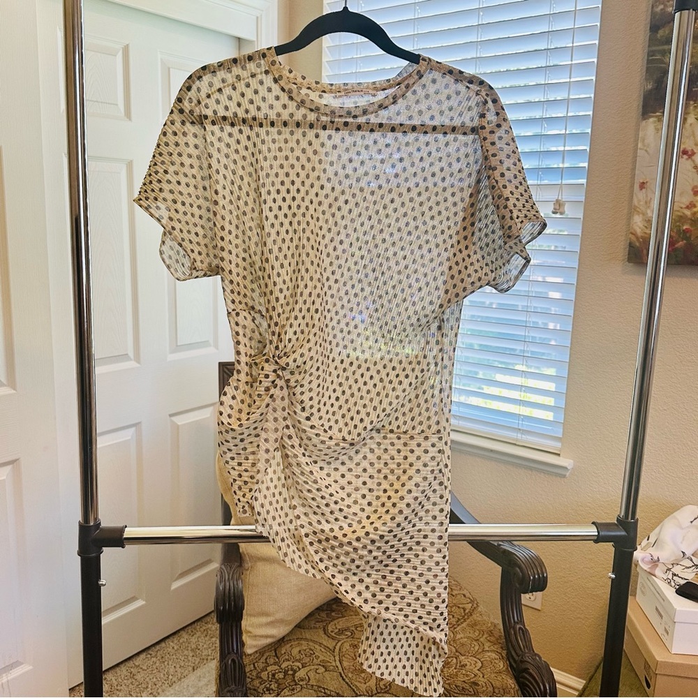 Zara sheer top.